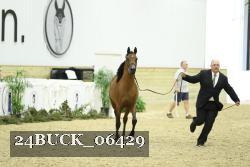 24BUCK_06429 proof