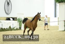 24BUCK_06430 proof