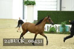 24BUCK_06431 proof