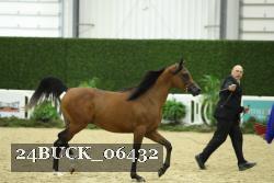 24BUCK_06432 proof