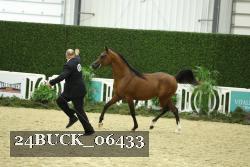 24BUCK_06433 proof