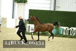 24BUCK_06434 proof