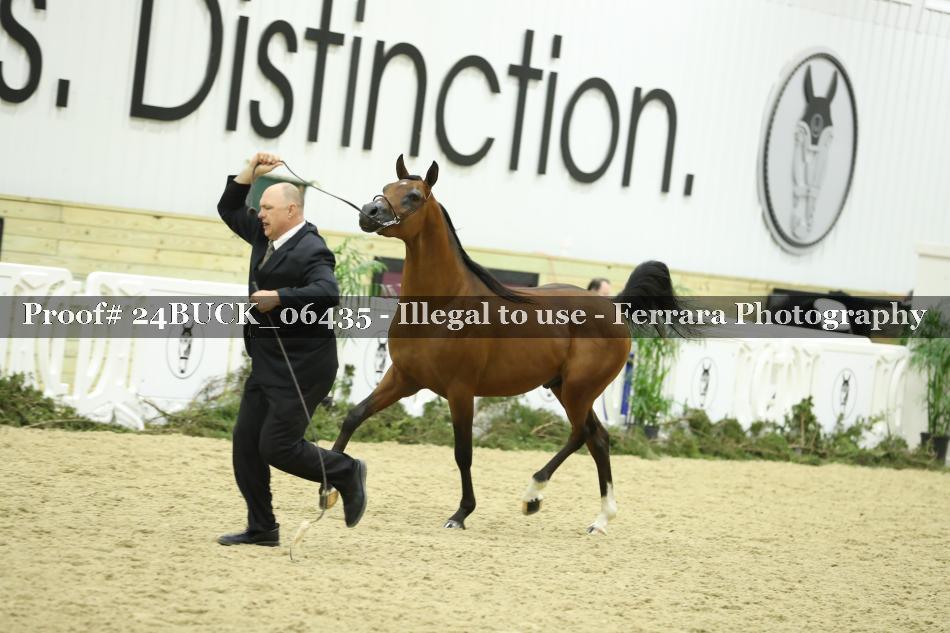 Proof 24BUCK_06435