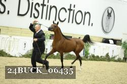 24BUCK_06435 proof