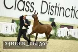 24BUCK_06436 proof