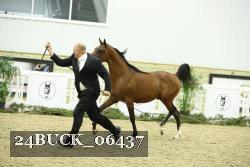 24BUCK_06437 proof