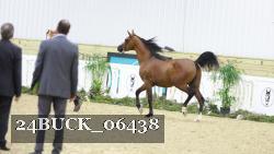 24BUCK_06438 proof