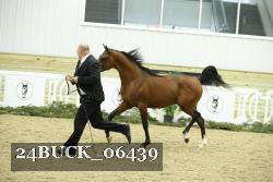 24BUCK_06439 proof