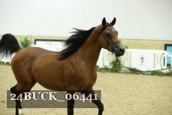24BUCK_06441 proof