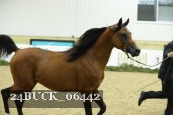 24BUCK_06442 proof