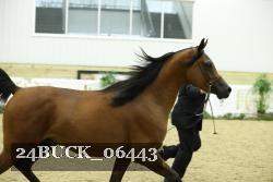 24BUCK_06443 proof