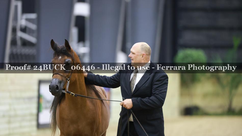 Proof 24BUCK_06446