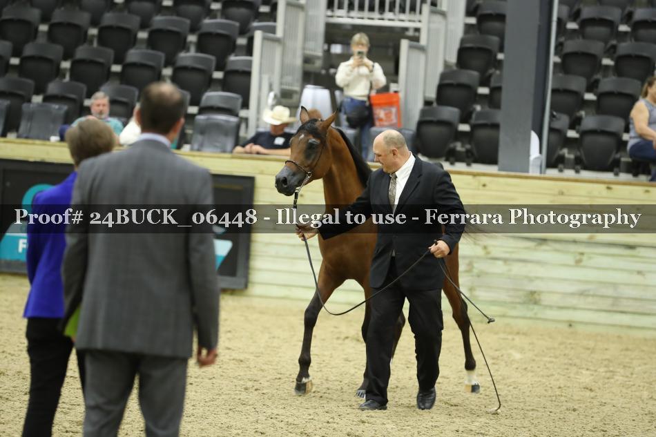 Proof 24BUCK_06448