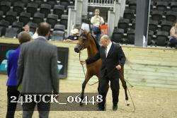 24BUCK_06448 proof