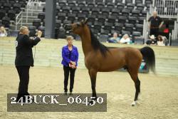 24BUCK_06450 proof
