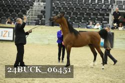24BUCK_06451 proof