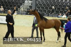 24BUCK_06453 proof
