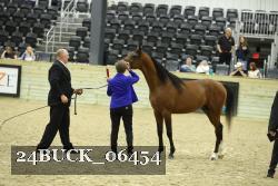 24BUCK_06454 proof