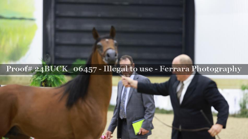 Proof 24BUCK_06457