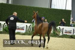 24BUCK_06458 proof