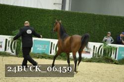 24BUCK_06459 proof
