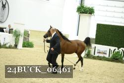 24BUCK_06461 proof
