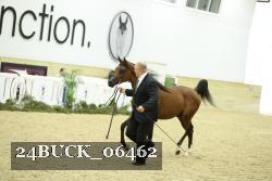24BUCK_06462 proof