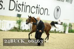 24BUCK_06463 proof