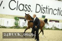 24BUCK_06464 proof