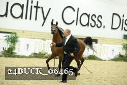 24BUCK_06465 proof