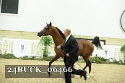 24BUCK_06466 proof