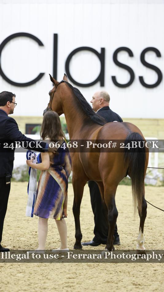 Proof 24BUCK_06468