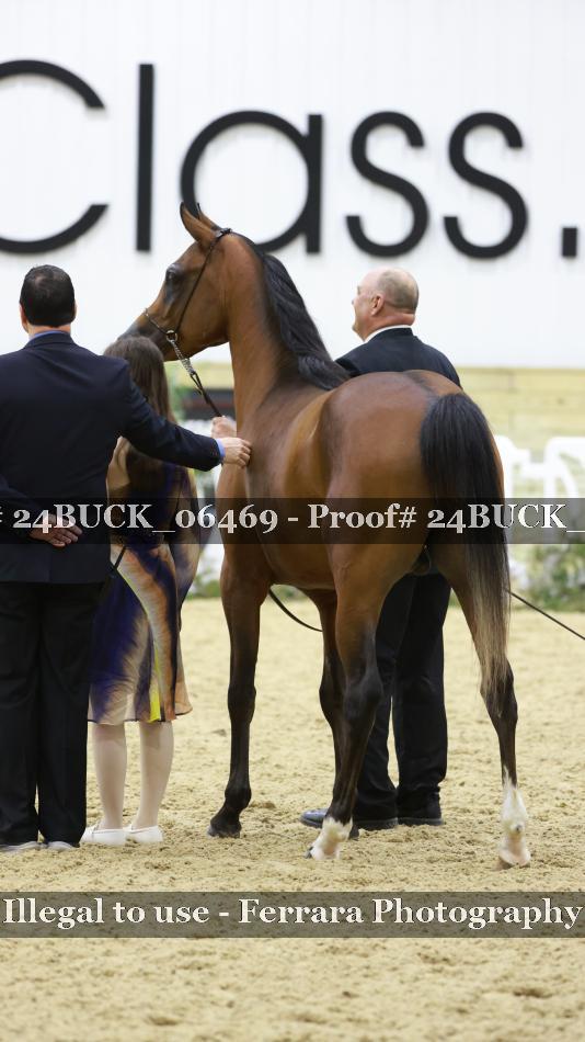 Proof 24BUCK_06469