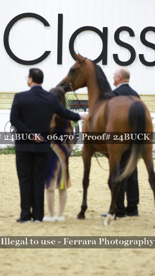 Proof 24BUCK_06470