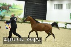 24BUCK_06474 proof