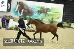 24BUCK_06475 proof