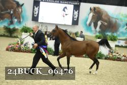 24BUCK_06476 proof