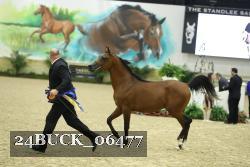24BUCK_06477 proof