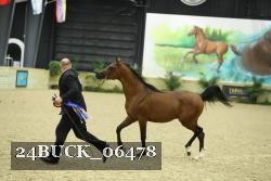 24BUCK_06478 proof