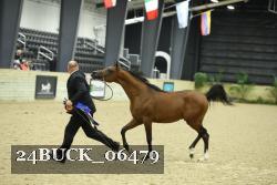 24BUCK_06479 proof