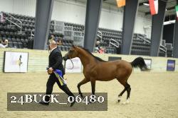 24BUCK_06480 proof