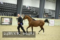 24BUCK_06481 proof