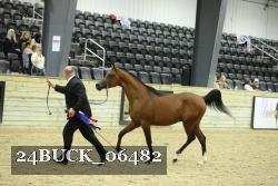 24BUCK_06482 proof