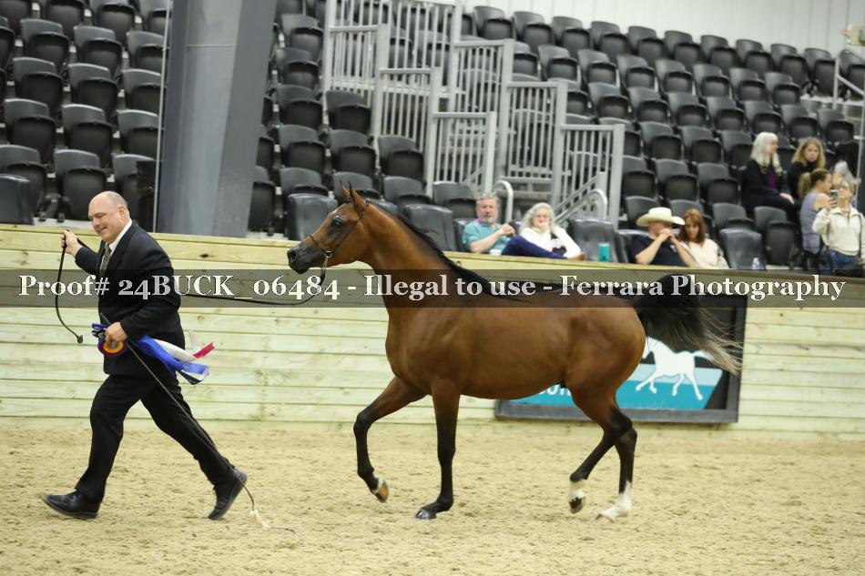 Proof 24BUCK_06484