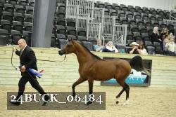 24BUCK_06484 proof
