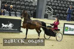24BUCK_06488 proof
