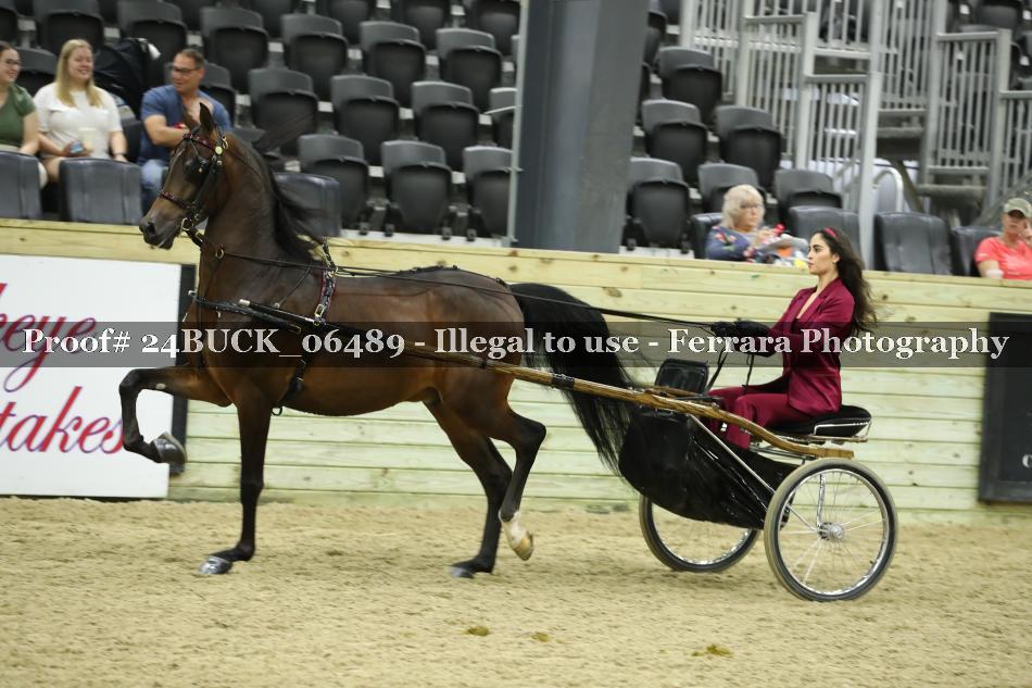 Proof 24BUCK_06489