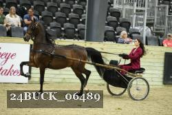 24BUCK_06489 proof