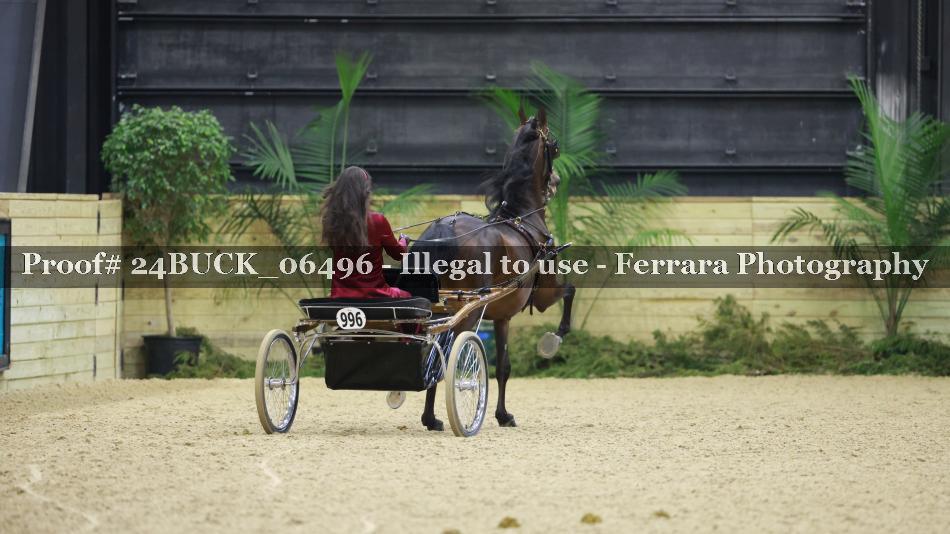 Proof 24BUCK_06496
