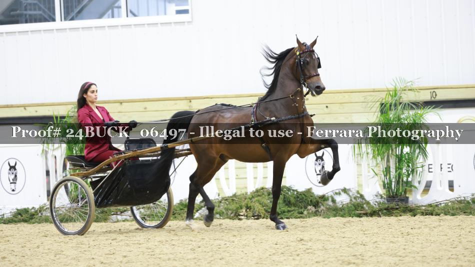 Proof 24BUCK_06497
